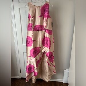 Boston Proper Pink and Cream Floral Dress